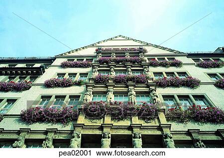 house, building, constructure, building, window, decoration, flowerdecoration View Large Photo Image Stock Image - house, building, constructure, building, window, decoration, flowerdecoration. Fotosearch