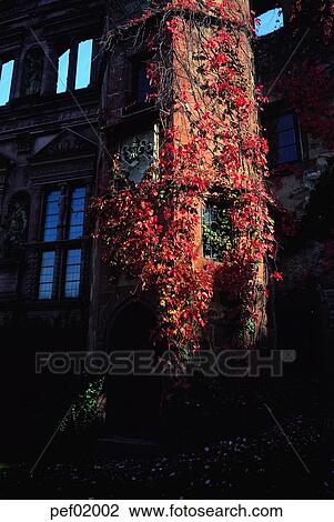 plant, building, building, constructure, constructure, constructure, constructure View Large Photo Image Stock Image - plant, building, building, constructure, constructure, constructure, constructure. Fotosearch