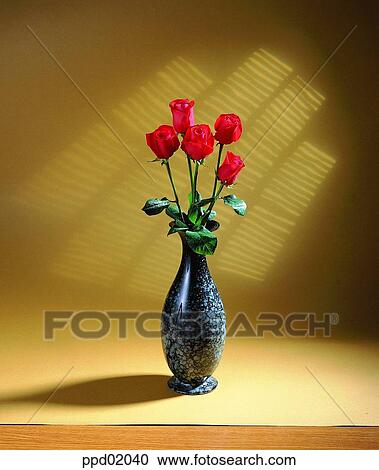 rose, vase, flower, plant, Nature View Large Photo Image Stock Image - rose, vase, flower, plant, Nature. Fotosearch