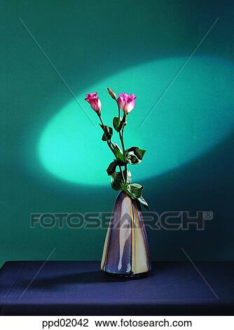 Stock Image - rose, vase, flower, plant, Nature. Fotosearch
