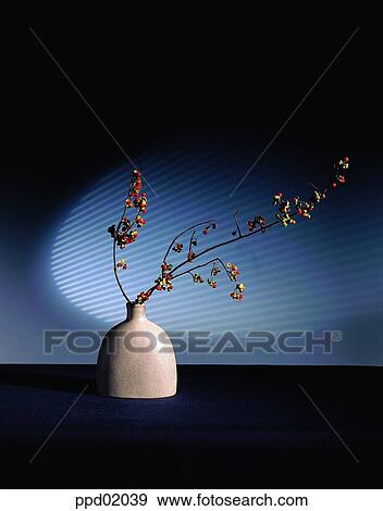 Stock Photo - vase, flower, flower, plant, Nature. Fotosearch