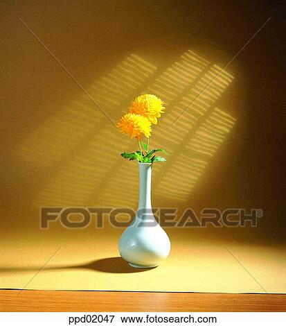 vase, flower, plant, Nature View Large Photo Image Stock Photo - vase, flower, plant, Nature. Fotosearch