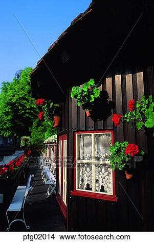 window, curtain, pot, flowerdecoration, chair, flower, decoration View Large Photo Image Picture - window, curtain, pot, flowerdecoration, chair, flower, decoration. Fotosearch
