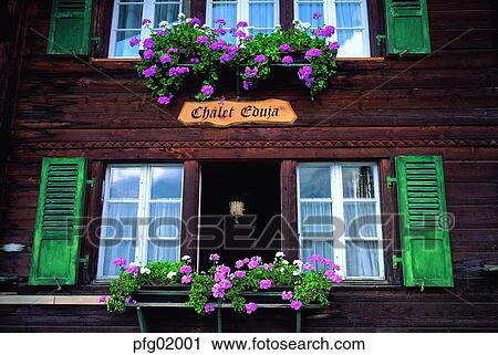 window, flower, flowerdecoration, pot, decoration, decoration, house View Large Photo Image Stock Image - window, flower, flowerdecoration, pot, decoration, decoration, house. Fotosearch
