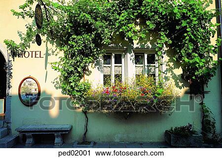 Stock Image - window, flower, flowerdecoration, decoration, sign, decoration, hotel. Fotosearch