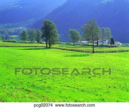 field, tree, mountain, plant, country, farm, landscape View Large Photo Image Picture - field, tree, mountain, plant, country, farm, landscape. Fotosearch