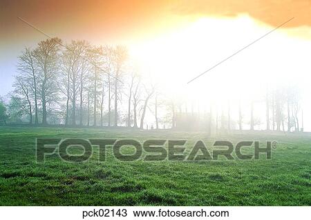 field, tree, plant, fog, nature, landscape View Large Photo Image Stock Image - field, tree, plant, fog, nature, landscape. Fotosearch