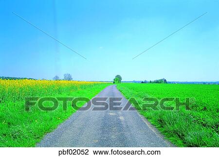 flower, grass, field, road, sky, landscape, nature View Large Photo Image Stock Image - flower, grass, field, road, sky, landscape, nature. Fotosearch