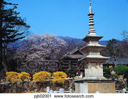 forsythia, cherry blossom, flower, tree, plant, mountain, sky View Large Photo Image Stock Image - forsythia, cherry blossom, flower, tree, plant, mountain, sky. Fotosearch