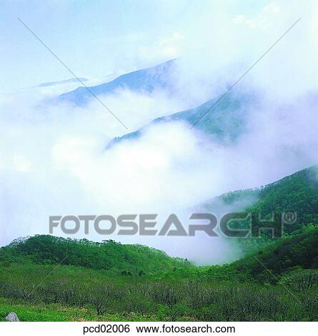 mountain, fog, cloud, tree, plant, nature, landscape View Large Photo Image Stock Photograph - mountain, fog, cloud, tree, plant, nature, landscape. Fotosearch