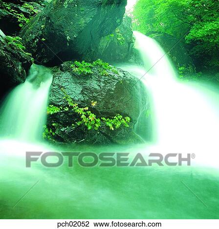 rock, tree, mountain, forest, valley, water View Large Photo Image Stock Image - rock, tree, mountain, forest, valley, water. Fotosearch