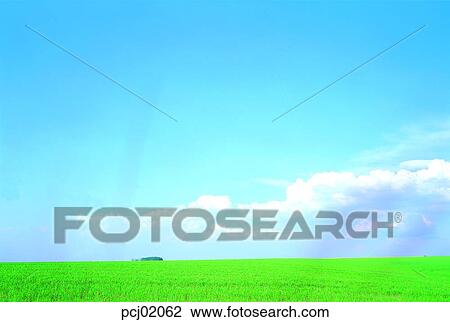 Stock Image - sky, grass, field, landscape, countrylandscape, nature. Fotosearch