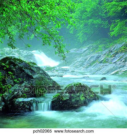 valley, forest, mountain, tree, rock, stone, waterfog View Large Photo Image Stock Photography - valley, forest, mountain, tree, rock, stone, waterfog. Fotosearch