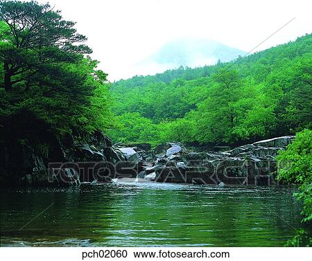 valley, mountain, forest, stream, rock, water, nature View Large Photo Image Stock Image - valley, mountain, forest, stream, rock, water, nature. Fotosearch