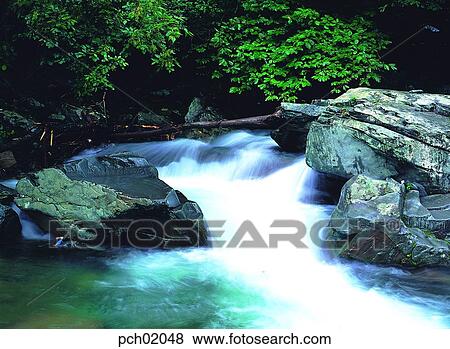 valley, mountain, forest, tree, rock, stone View Large Photo Image Stock Photo - valley, mountain, forest, tree, rock, stone. Fotosearch