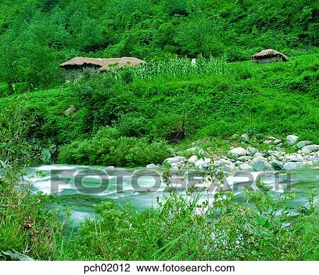 Stock Image - valley, rock, maple, mapleleaf, mapletree, tree, nature. Fotosearch