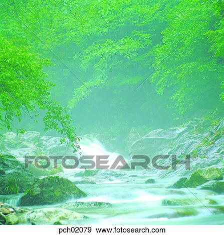 valley, waterfog, forest, tree, rock, stone, fog View Large Photo Image Stock Photo - valley, waterfog, forest, tree, rock, stone, fog. Fotosearch