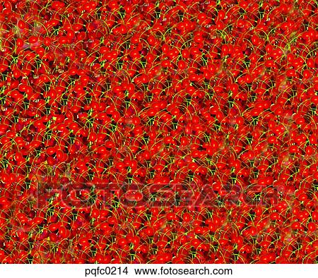 fruit, plant, background View Large Photo Image Picture - fruit, plant, background. Fotosearch