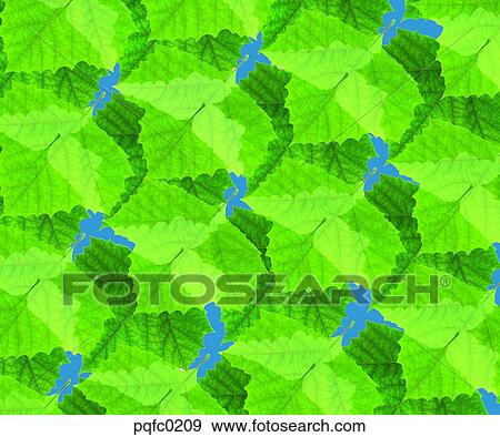 Stock Photo - leaf, plant. Fotosearch
