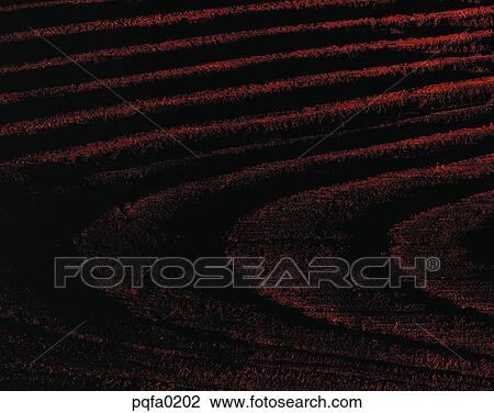 tree, background View Large Photo Image Stock Image - tree, background. Fotosearch