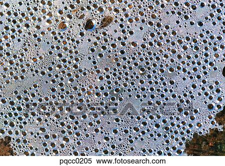 Stock Photography - water. Fotosearch