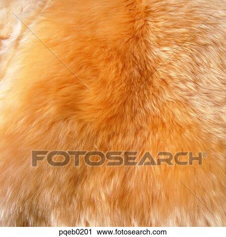 wool, background, pattern View Large Photo Image Stock Image - wool, background, pattern. Fotosearch
