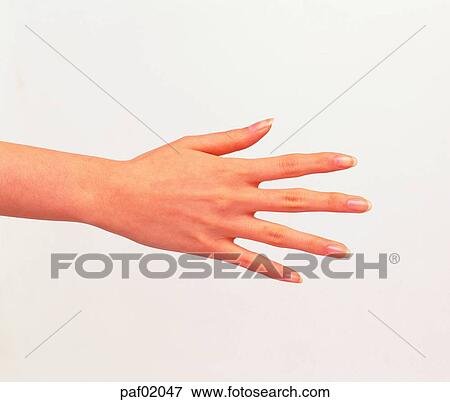 Stock Photo - finger, hand, hi-five, middle finger, greeting. Fotosearch