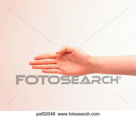 Stock Photo - finger, hand, hi-five, middle finger, greeting. Fotosearch