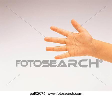 finger, hand, hi-five, middle finger, greeting View Large Photo Image Stock Photography - finger, hand, hi-five, middle finger, greeting. Fotosearch