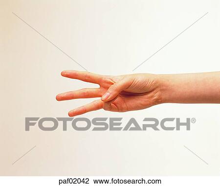 finger, hand, woman View Large Photo Image Stock Image - finger, hand, woman. Fotosearch