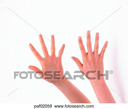 finger, palm, back of the hand, hand, 10, woman View Large Photo Image Stock Photo - finger, palm, back of the hand, hand, 10, woman. Fotosearch