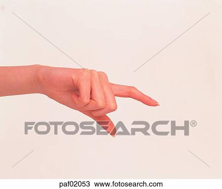 finger, second finger, second fingerfinger, hand, woman View Large Photo Image Stock Image - finger, second finger, second fingerfinger, hand, woman. Fotosearch