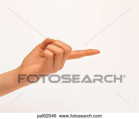 finger, second finger, second fingerfinger, hand, woman View Large Photo Image Stock Photograph - finger, second finger, second fingerfinger, hand, woman. Fotosearch
