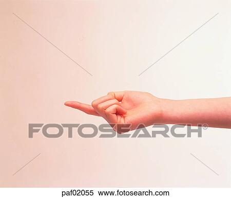 Stock Photography - finger, second finger, second fingerfinger, hand, woman. Fotosearch