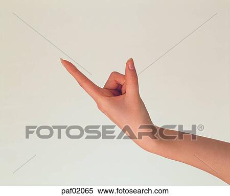 Stock Photography - finger, second finger, second fingerfinger, hand, woman. Fotosearch