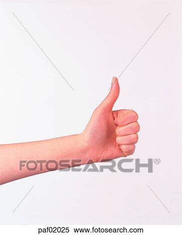 Stock Photography - finger, thumbnail, thumbnail, hand, woman. Fotosearch