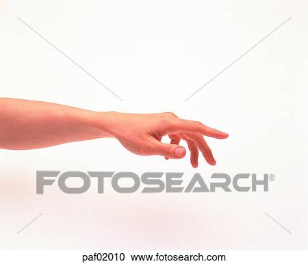 fist, hand, muscle View Large Photo Image Stock Image - fist, hand, muscle. Fotosearch