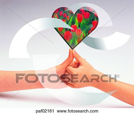 Stock Image - graphics, hand, finger, hand, womanhand, adult hand. Fotosearch