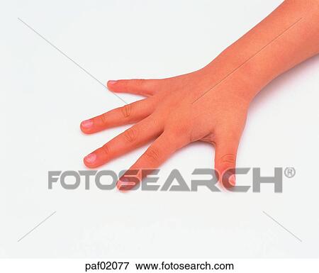 Stock Photo - hand, finger, back of the hand, child. Fotosearch