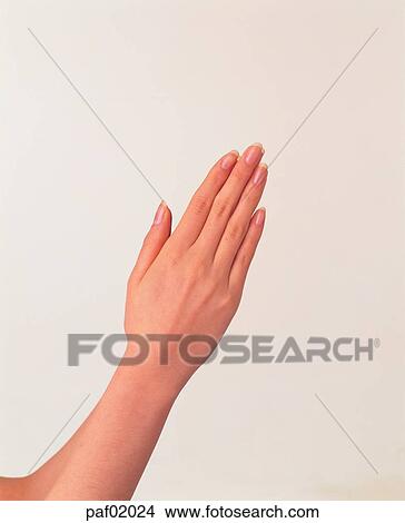 Picture - hand, hand, finger, arm, woman. Fotosearch