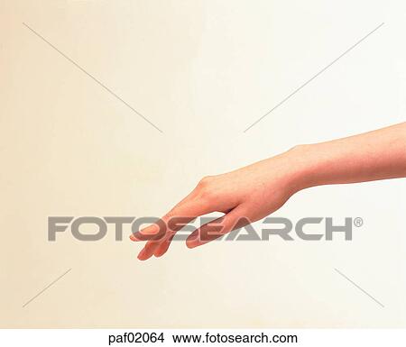 hand, hand, finger, back of the hand, woman View Large Photo Image Picture - hand, hand, finger, back of the hand, woman. Fotosearch