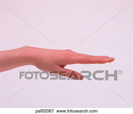 hand, hand, finger, back of the hand, greeting, handshake View Large Photo Image Stock Photo - hand, hand, finger, back of the hand, greeting, handshake. Fotosearch