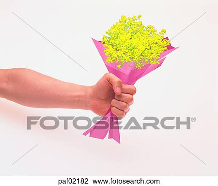 Stock Image - hand, hand, finger, fist, arm, flower. Fotosearch