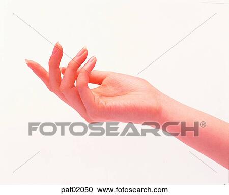 Stock Image - hand, hand, finger, palm, arm. Fotosearch