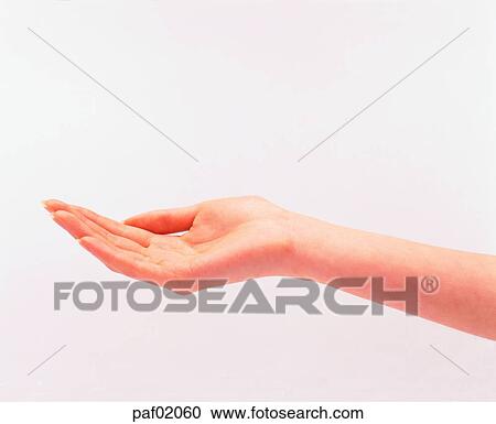 hand, hand, finger, palm, woman View Large Photo Image Stock Image - hand, hand, finger, palm, woman. Fotosearch