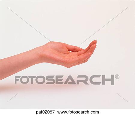 Stock Photo - hand, hand, finger, palm, woman. Fotosearch