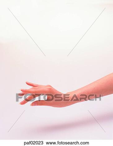 hand, hand, thumbnail, thumbnail, middle finger, middle fingerfinger View Large Photo Image Stock Image - hand, hand, thumbnail, thumbnail, middle finger, middle fingerfinger. Fotosearch
