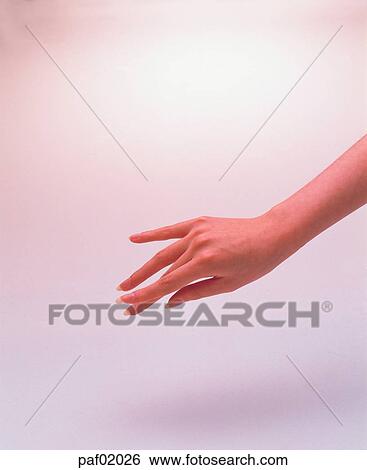 hand, hand, thumbnail, thumbnail, middle finger, middle fingerfinger View Large Photo Image Stock Photograph - hand, hand, thumbnail, thumbnail, middle finger, middle fingerfinger. Fotosearch