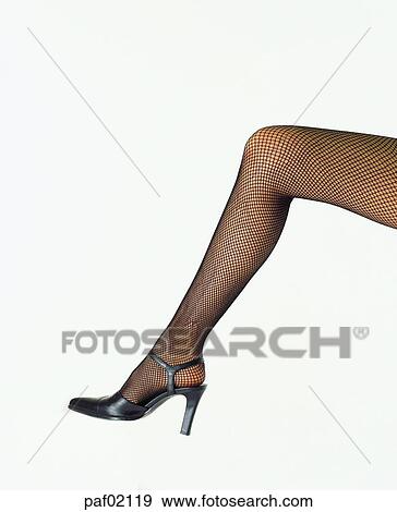 leg, stocking, thigh, calf of the leg, knee, beauty, body View Large Photo Image Stock Photo - leg, stocking, thigh, calf of the leg, knee, beauty, body. Fotosearch