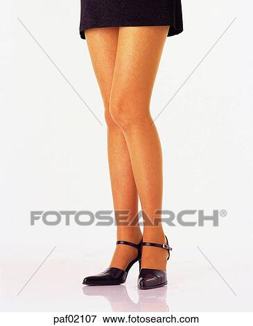 leg, thigh, calf of the leg, knee, beauty, body, highhill View Large Photo Image Stock Photo - leg, thigh, calf of the leg, knee, beauty, body, highhill. Fotosearch